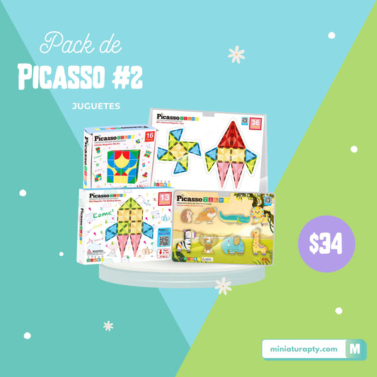 Picasso Tiles Pack #2