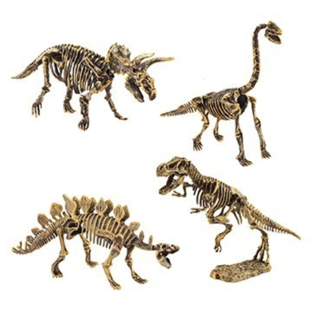 Rompecabeza de Esqueleto de Dinosaurio / Paleo Puzzlers