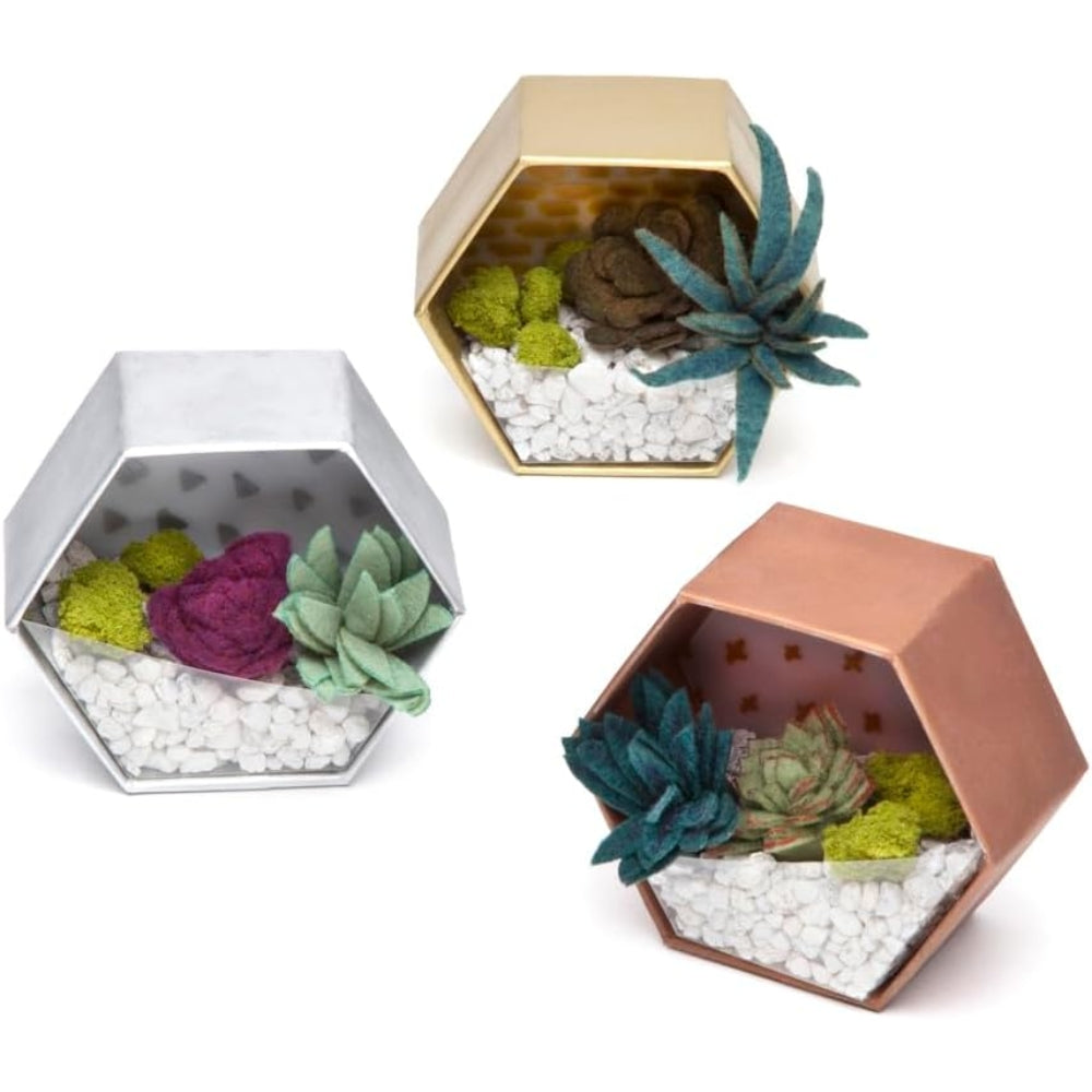 Craft Crush - Mini Terrariums