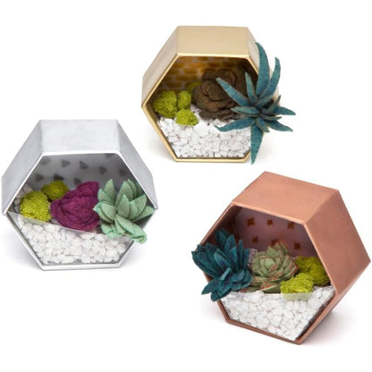 Craft Crush - Mini Terrariums